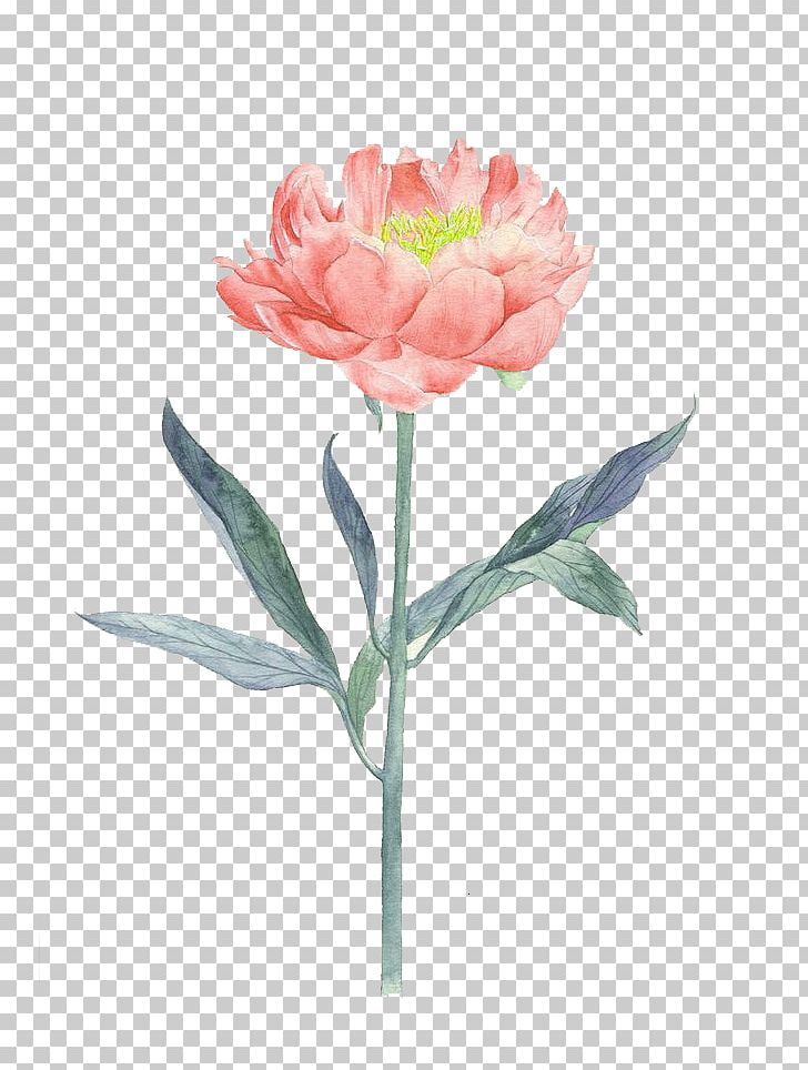 Flower Painting Illustration PNG, Clipart, Artificial Flower, Blomsterbutikk, Cartoon, Cut Flowers, Decoration Free PNG Download