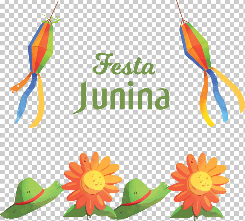 Festa Junina June Festivals Brazilian Festa Junina PNG, Clipart, Area, Biology, Brazilian Festa Junina, Cut Flowers, Festa Junina Free PNG Download