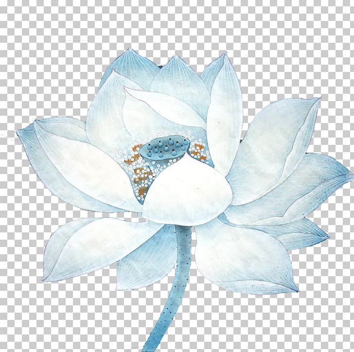 Nelumbo Nucifera Lotus Effect Blue PNG, Clipart, Apple, App Store, Blue, Cut Flowers, Download Free PNG Download