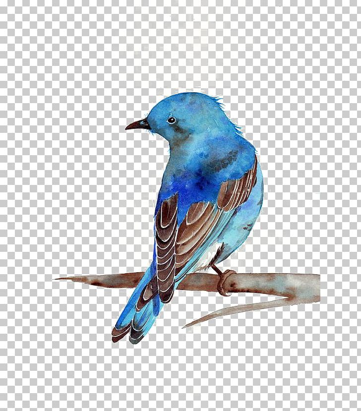 Watercolor Painting Bluebird Printmaking PNG, Clipart, Art, Beak, Bird, Bluebird, Blue Birds Free PNG Download