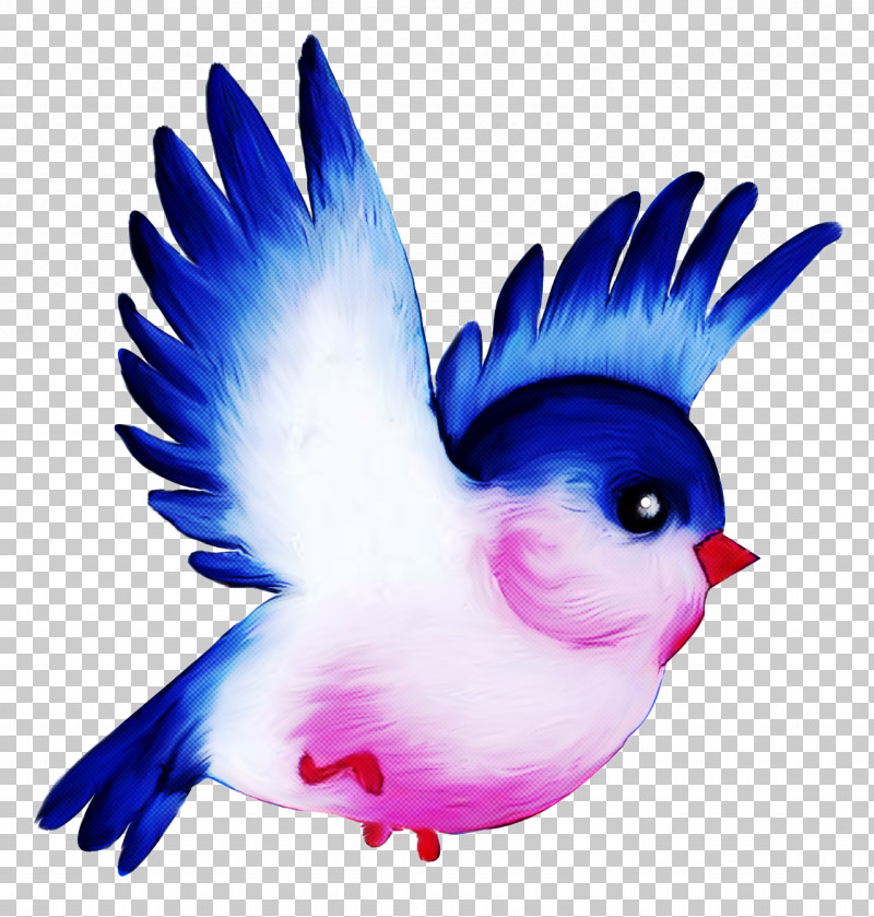 Feather PNG, Clipart, Animation, Beak, Bird, Bluebird, Feather Free PNG Download