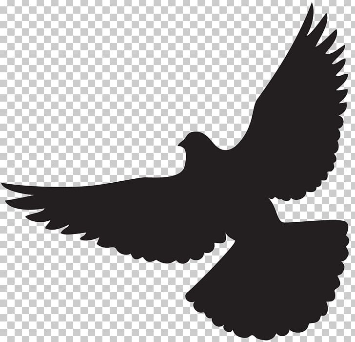 Bird Wing Bat Flight Lift PNG, Clipart, Art, Bat, Beak, Bird, Bird Of Prey Free PNG Download
