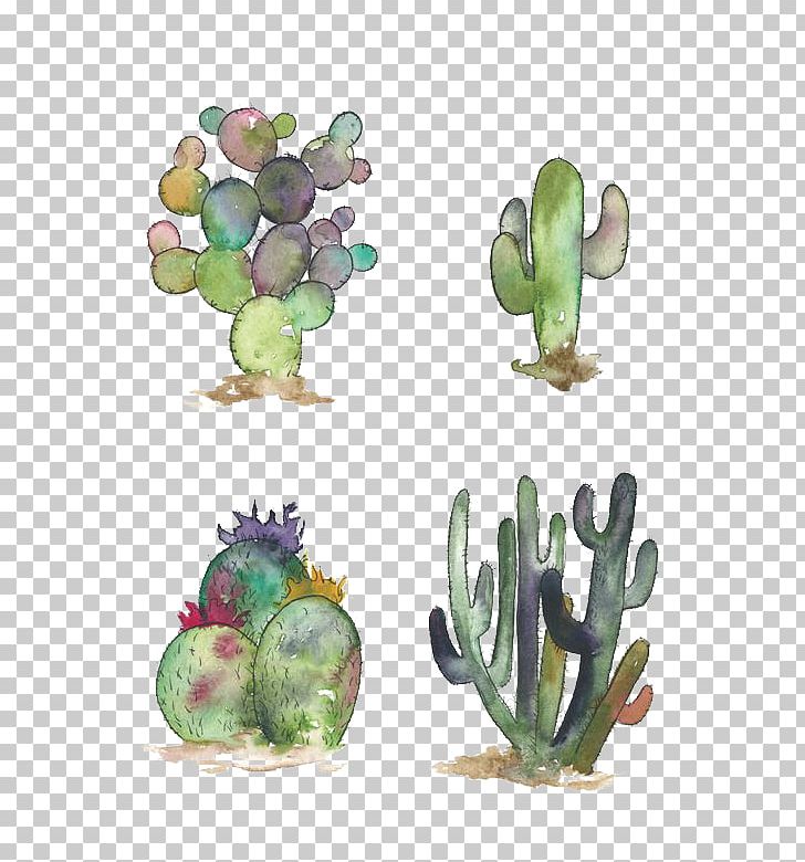 Cactaceae Watercolor Painting Opuntia Engelmannii Succulent Plant Illustration PNG, Clipart, Art, Botanical Illustration, Cactus, Cactus Cartoon, Cactus Flower Free PNG Download