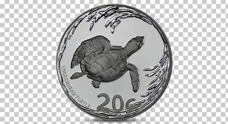 Tortoise Pond Turtles Sea Turtle PNG, Clipart, 20 Cent Euro Coin, Emydidae, Reptile, Sea Turtle, Tortoise Free PNG Download