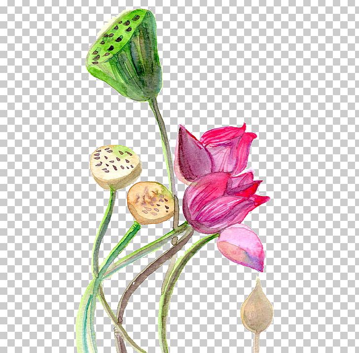 Watercolor Painting YogaSole Watercolor: Flowers PNG, Clipart, Flower, Free Stock Png, Hand, Looking, Painted Free PNG Download