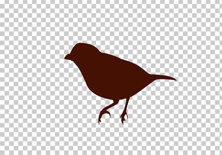 Bird Silhouette PNG, Clipart, Animals, Beak, Bird, Birds Eye View Burger, Cartoon Free PNG Download
