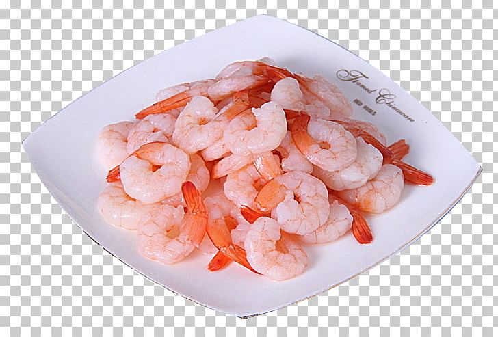 cooked shrimp clipart border
