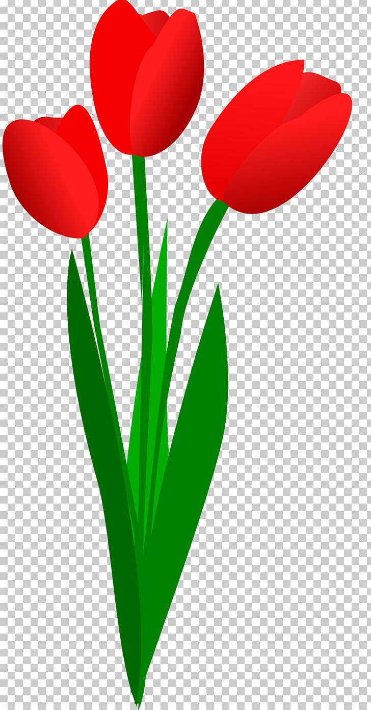 Tulip Free Content Flower PNG, Clipart, Artwork, Blog, Computer, Cut Flowers, Download Free PNG Download