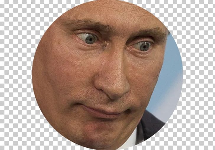 Vladimir Putin Telegram President Of Russia United States PNG, Clipart, Celebrities, Cheek, Chin, Closeup, Elder Free PNG Download