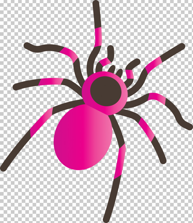 Insect Line PNG, Clipart, Cartoon Spider, Insect, Line Free PNG Download