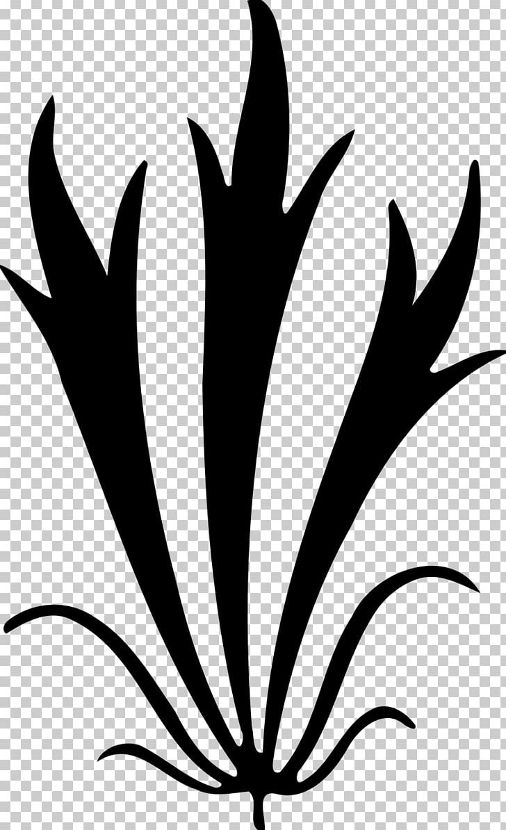 Leaf PNG, Clipart, Abstract, Abstract Art, Abstraction, Artwork, Black Free PNG Download