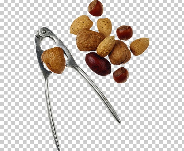 Nuts Auglis Walnut PNG, Clipart, Acorn, Auglis, Computer Icons, Dried Fruit, Fat Free PNG Download