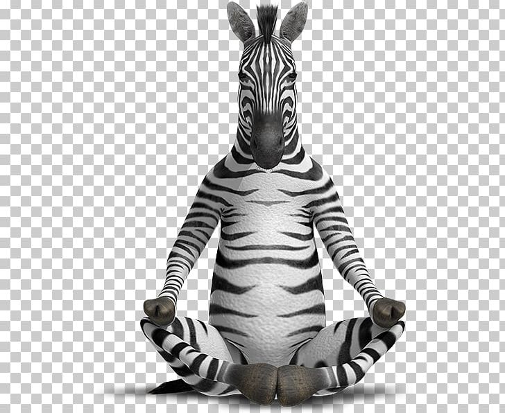 Mechanical Pencil Why Zebras Don't Get Ulcers Ballpoint Pen PNG, Clipart, Ballpoint Pen, Coloring Book, Esh, Gel Pen, Highlighter Free PNG Download