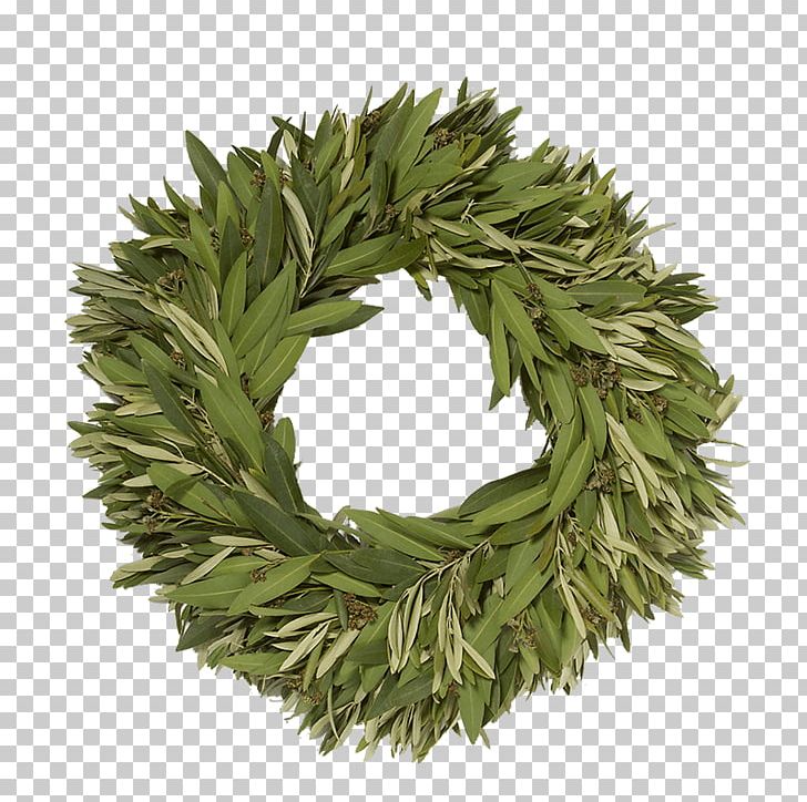 Olive Wreath Gift House Dining Room PNG, Clipart, Bay Laurel, Bay Leaf, Chair, Christmas, Christmas Decoration Free PNG Download