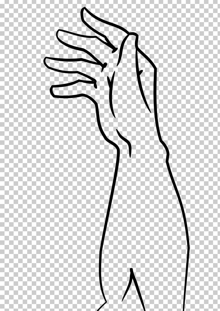 Thumb Drawing Line Art Human Anatomy PNG, Clipart, Anatomy, Angle, Arm, Art, Artwork Free PNG Download