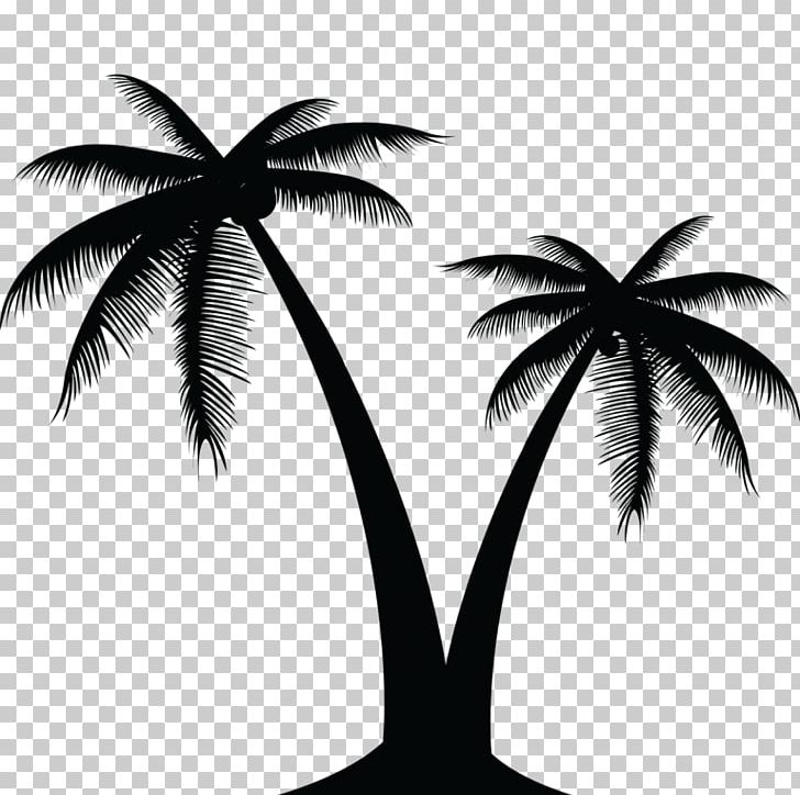 Arecaceae Tree PNG, Clipart, Arecaceae, Arecales, Black And White, Flowering Plant, Leaf Free PNG Download