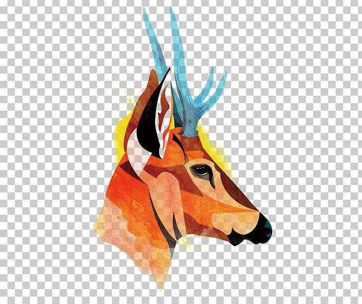Fauna De Chile South American Gray Fox South Andean Deer PNG, Clipart, Animal, Art, Cartoon Giraffe, Color, Cute Giraffe Free PNG Download