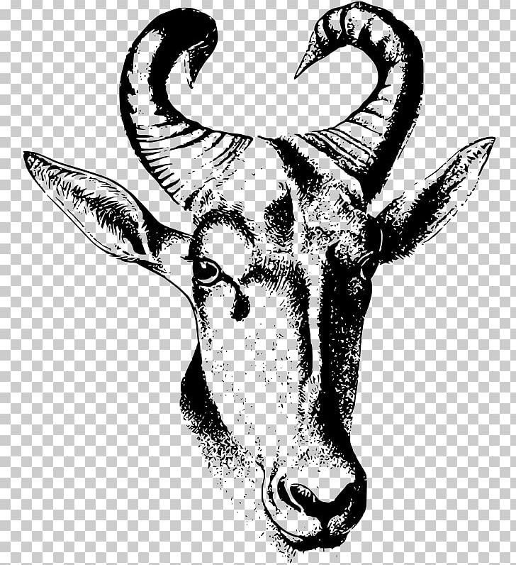 Cattle Drawing Antelope PNG, Clipart, Antelope, Antelope Horn, Black And White, Cabeza, Cattle Free PNG Download