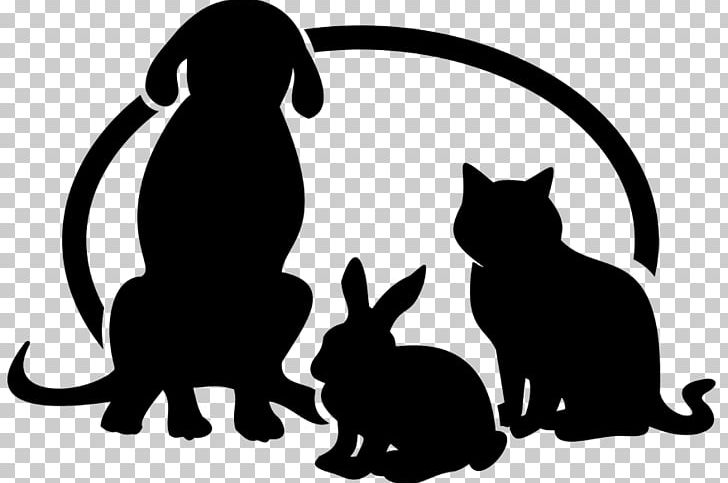 Kitten Black Cat Dog Animal Kingdom Veterinary Hospital PNG, Clipart, Animal  Kingdom, Animals, Black, Black And