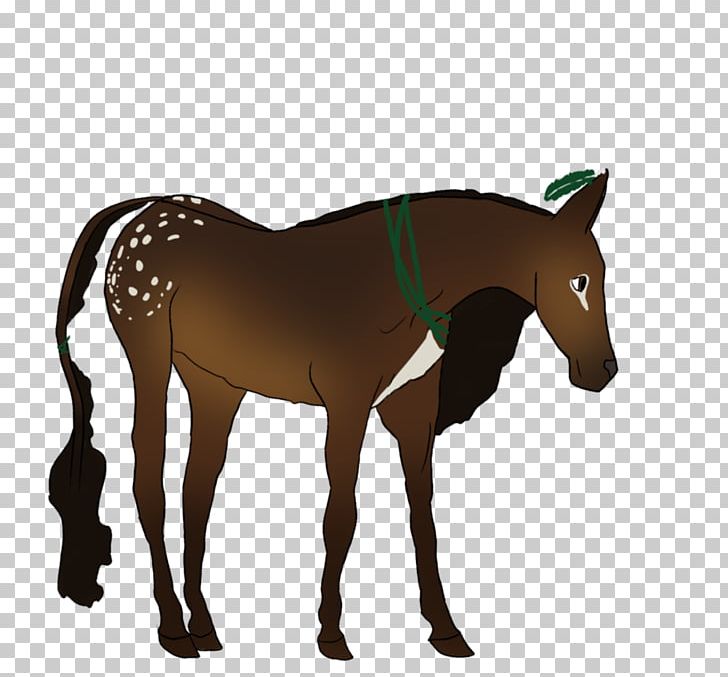 Mule Foal Stallion Mare Halter PNG, Clipart, Alia, Bridle, Colt, Donkey, Foal Free PNG Download