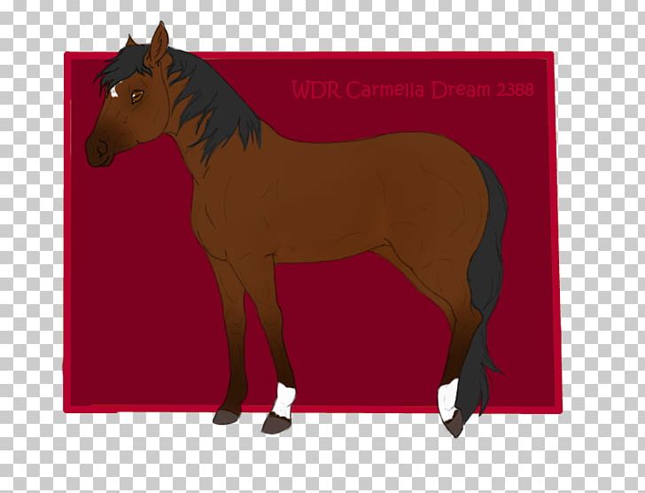 Mustang Stallion Foal Colt Mare PNG, Clipart,  Free PNG Download