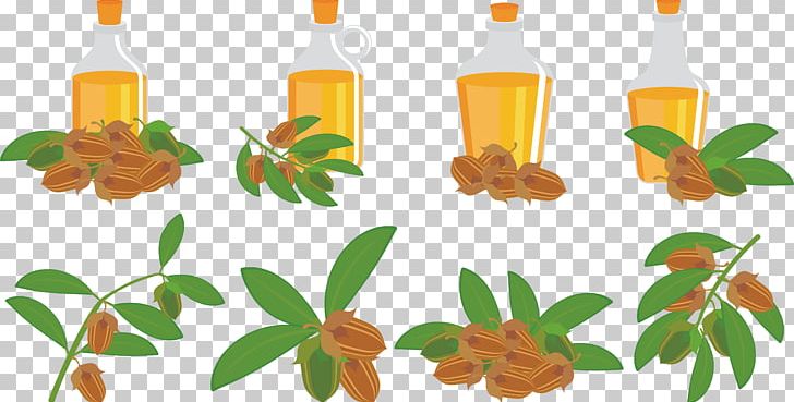 Olive Oil Bottle PNG, Clipart, Beard Oil, Botany, Bottle, Cork, Essential Oil Free PNG Download