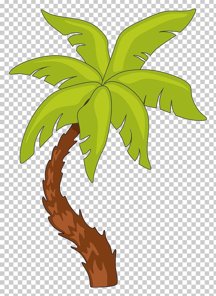 Arecaceae Tree Photography Illustration PNG, Clipart, Beach, Can Stock Photo, Coconut Tree, Flora, Flowering Plant Free PNG Download
