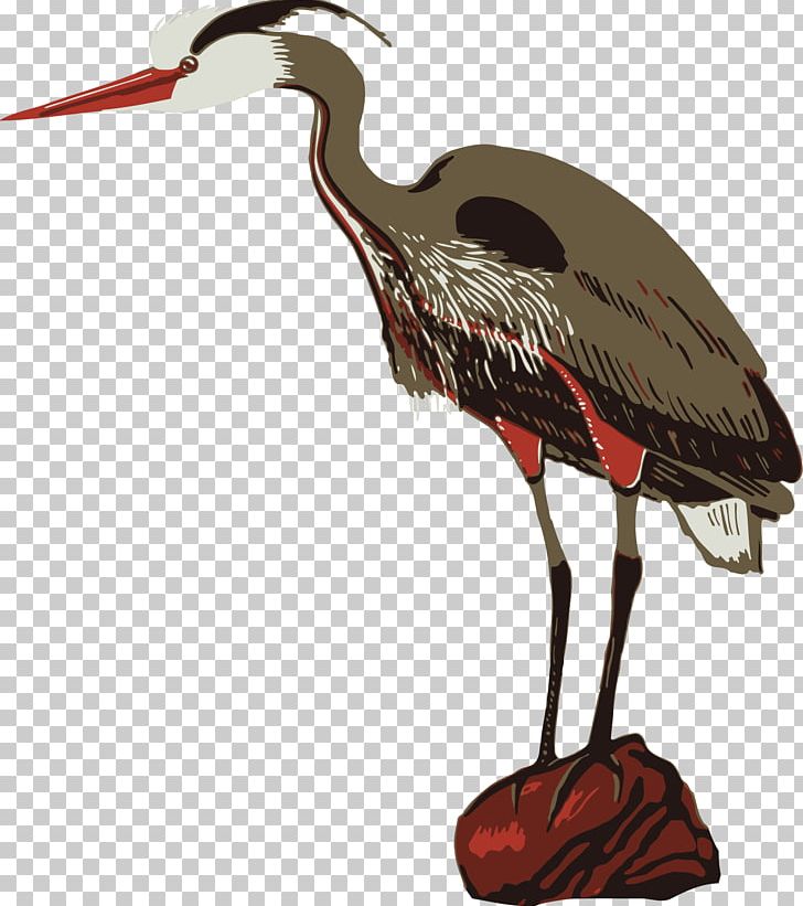 Crane Poster Zoo Heron PNG, Clipart, Beak, Bird, Bird Clipart, Ciconiiformes, Crane Free PNG Download