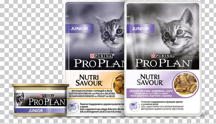 ProPlan Cat Kaps. Junior Krůta 24x85g Kitten Pro Plan Junior Chicken 1.5 Kg Для котят с индейкой PNG, Clipart,  Free PNG Download