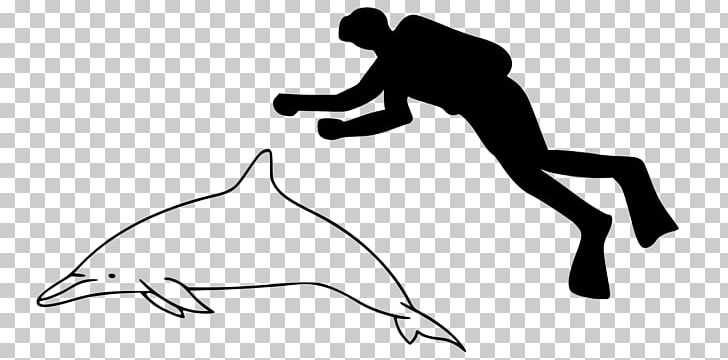 Spinner Dolphin Striped Dolphin Toothed Whale Porpoise Short-beaked Common Dolphin PNG, Clipart, Animals, Arm, Black, Cetacea, Chilean Dolphin Free PNG Download