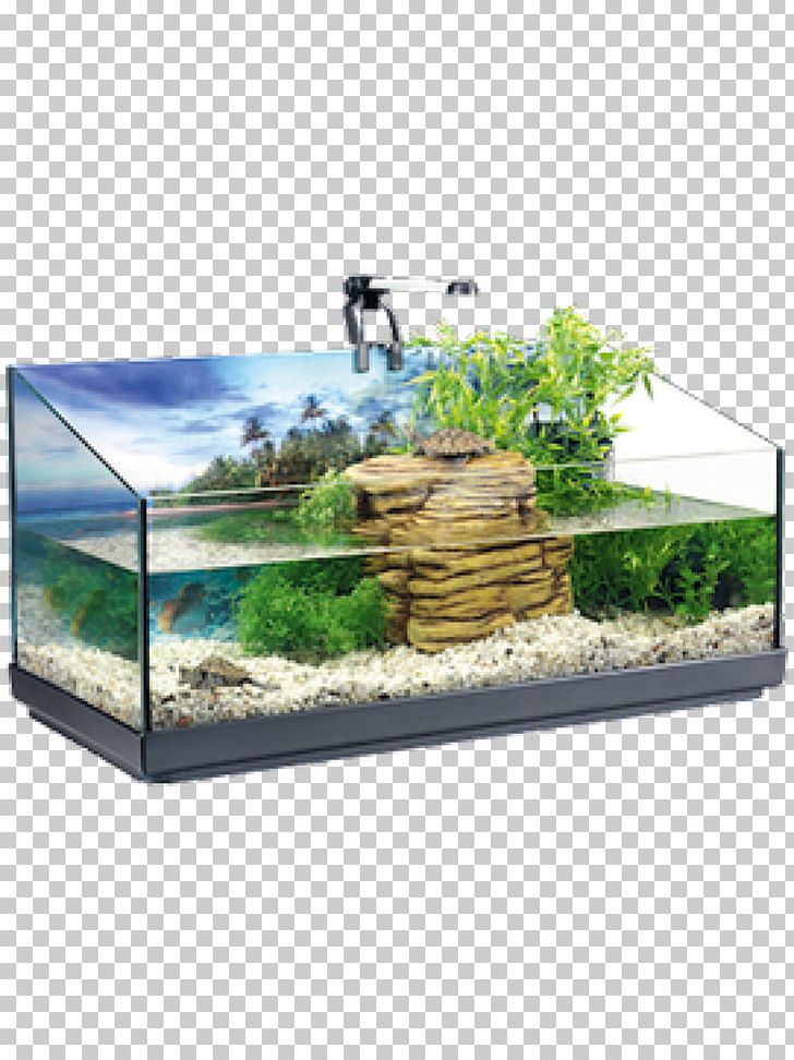 Turtle Reptile Paludarium Akwaterrarium Tetra PNG, Clipart, Akwaterrarium, Amazoncom, Animals, Aquarium, Ecosystem Free PNG Download