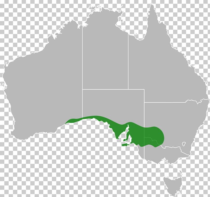 Australia Map PNG, Clipart, Australia, Cartography, Map, Mercator Projection, Photography Free PNG Download
