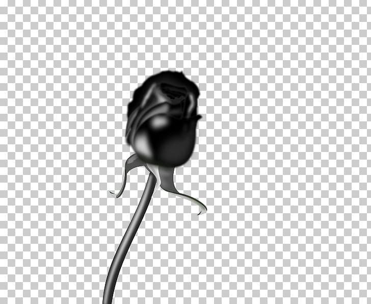 Black Rose Scalable Graphics PNG, Clipart, Black, Black And White, Black Rose, Blog, Computer Icons Free PNG Download