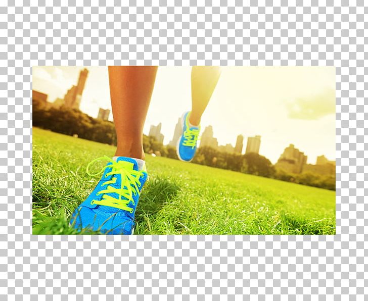Foot Sport Diet Health Susan G Schneidermesser PC PNG, Clipart, Computer Wallpaper, Diet, Exercise, Foot, Foot And Ankle Surgery Free PNG Download