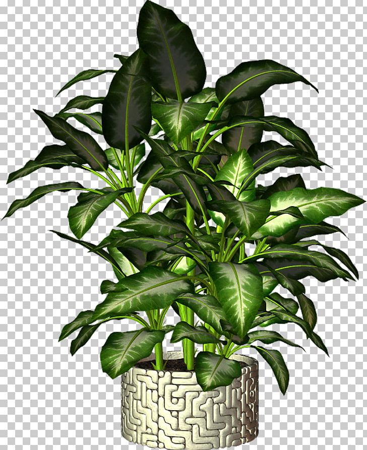 Flowerpot Plant PNG, Clipart, 22 October, Download, Evergreen, Evergreen Marine Corp, Flowerpot Free PNG Download