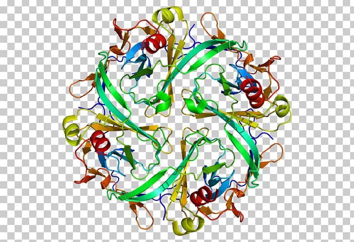 Kir2.1 Inward-rectifier Potassium Channel Protein Andersen–Tawil Syndrome PNG, Clipart, Artwork, Biology, Body Jewelry, Cell, Channel Free PNG Download