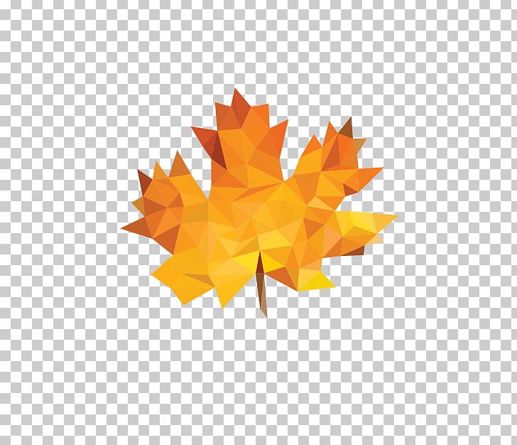 Maple Leaf Portable Network Graphics PNG, Clipart, Art, Creativity, Download, Graphic Design, Leaf Free PNG Download