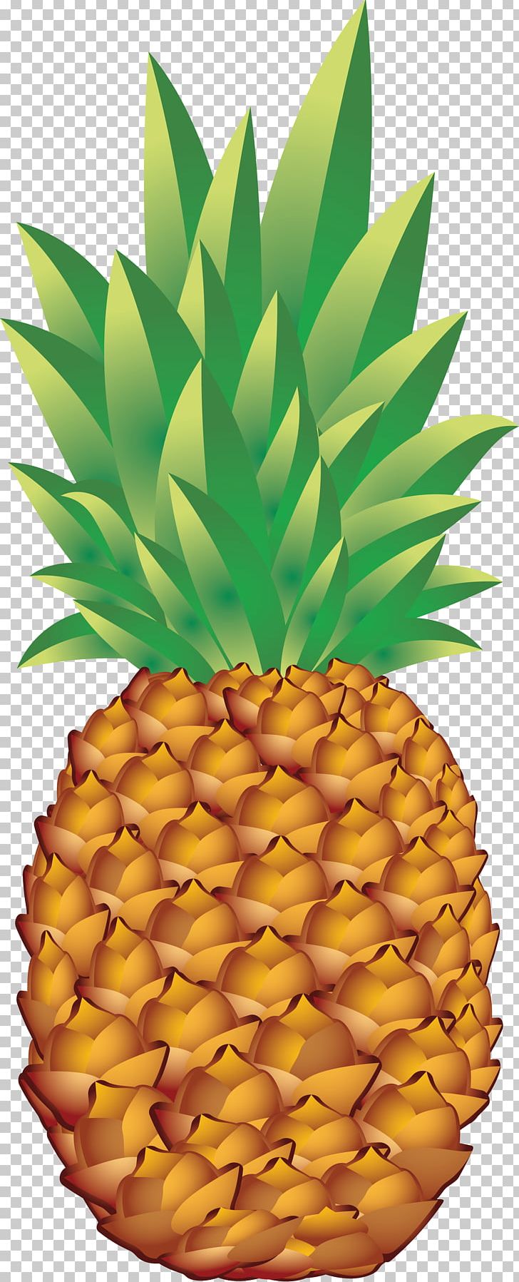 Pineapple PNG, Clipart, Ananas, Bromeliaceae, Clip Art, Download, Food Free PNG Download