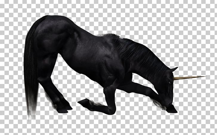 The Black Unicorn PNG, Clipart, 3d Computer Graphics, Black, Black And White, Desktop Wallpaper, Download Free PNG Download