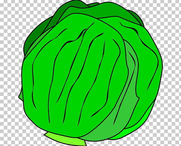 Iceberg Lettuce Taco Vegetable PNG, Clipart, Area, Artwork, Cabbage, Commodity, Cucurbita Free PNG Download