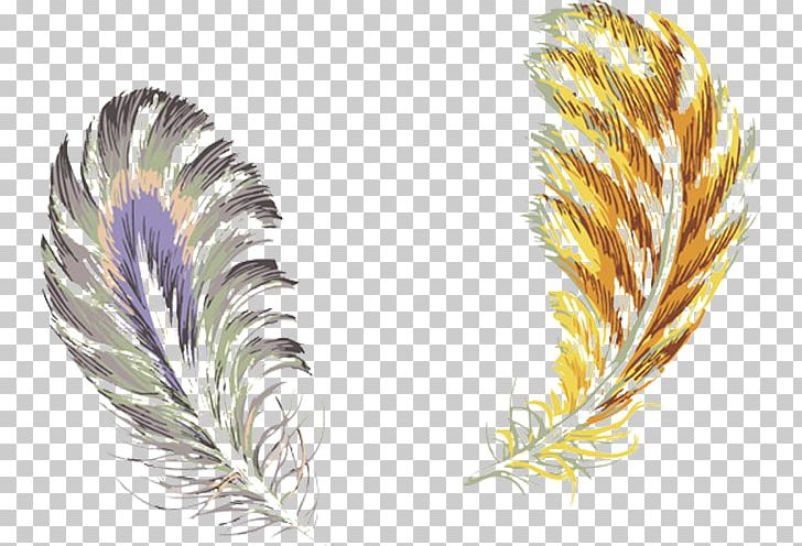 Bird Feather Color PNG, Clipart, Adobe Illustrator, Animals, Decorative, Feather Pen, Feathers Free PNG Download