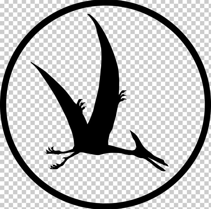Computer Icons Jurassic Park PNG, Clipart, Artwork, Beak, Bird, Black And White, Computer Icons Free PNG Download