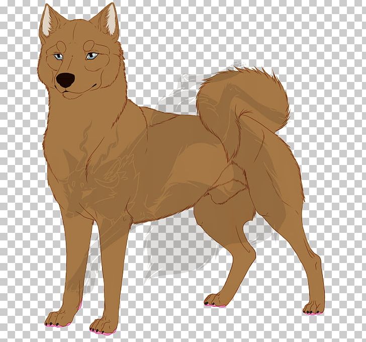 Dog Breed Finnish Spitz Dhole Fur PNG, Clipart, Breed, Carnivoran, Dhole, Dog, Dog Breed Free PNG Download