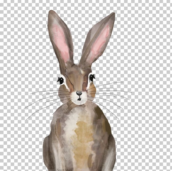 Domestic Rabbit Hare Whiskers New England Cottontail PNG, Clipart, Animals, Domestic Rabbit, Fauna, Hare, Hase Free PNG Download