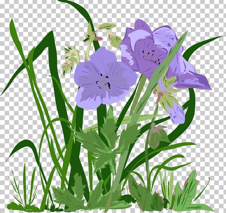 Harebell Bellflower Plant Stem Cut Flowers Herbaceous Plant PNG, Clipart,  Free PNG Download