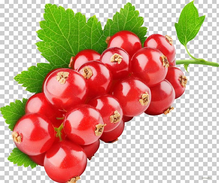 Tutti Frutti Fruit Redcurrant Berry Health PNG, Clipart, Berries, Carambola, Cherry, Cranberry, Currant Free PNG Download