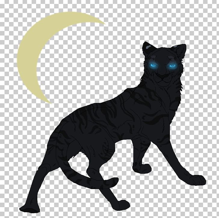 Black Cat Whiskers Black Tiger PNG, Clipart, Animals, Art, Black, Black Cat, Black Tiger Free PNG Download