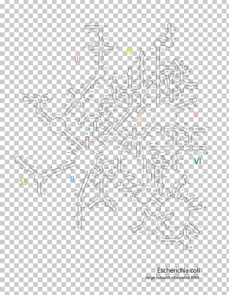 Map Tree Pattern PNG, Clipart, Area, Diagram, E Coli, Line, Map Free PNG Download
