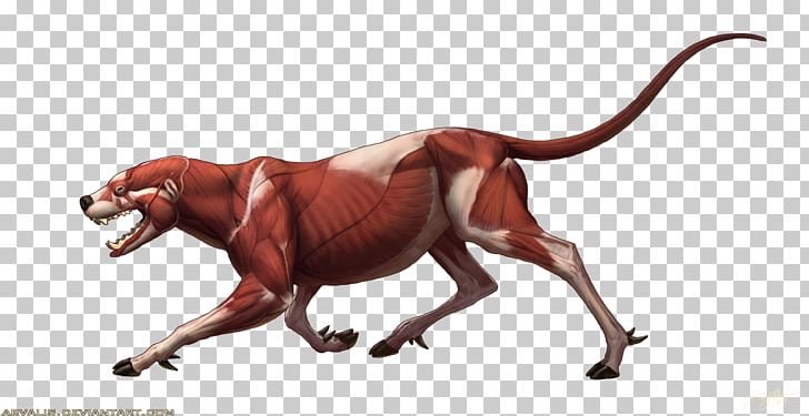 Wildlife Terrestrial Animal Carnivora Character PNG, Clipart, Animal, Animal Figure, Carnivora, Carnivoran, Character Free PNG Download