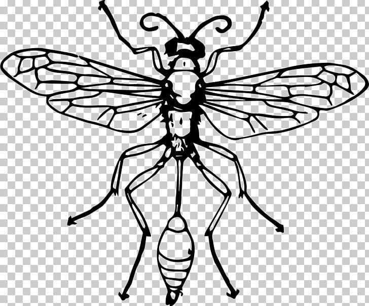Bee Hymenopterans PNG, Clipart, Artwork, Bee, Black And White, Christmas, Color Free PNG Download